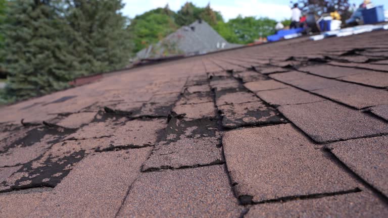 Best Metal Roofing Installation  in Wilkesboro, NC