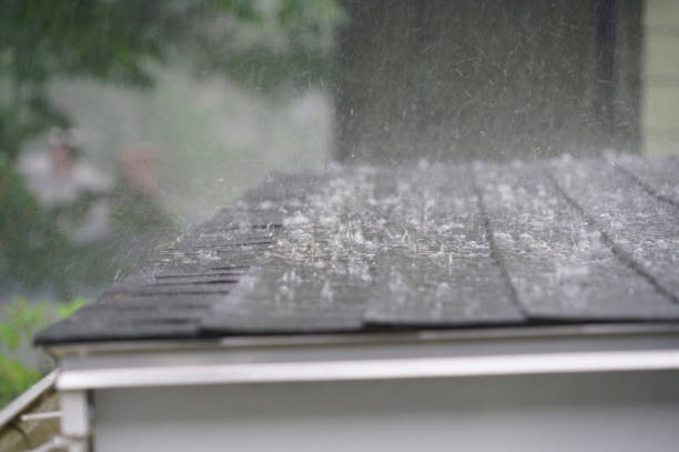 Best Storm Damage Roof Repair  in Wilkesboro, NC