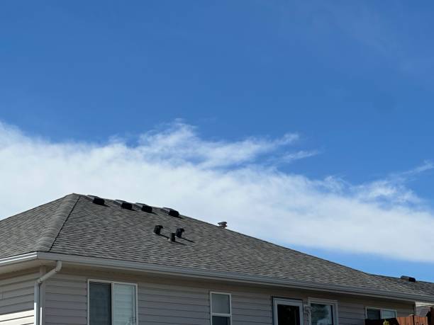 Best Roof Coating and Sealing  in Wilkesboro, NC